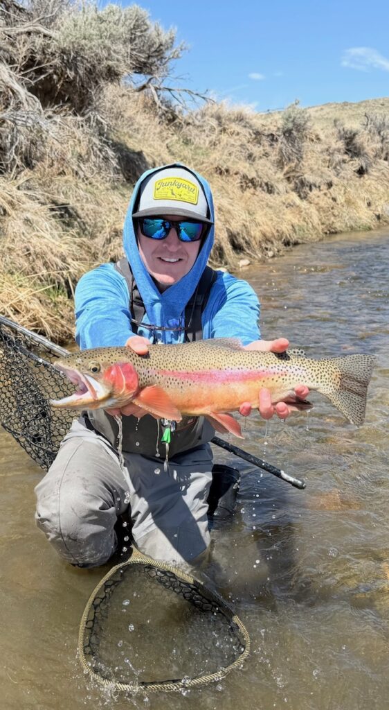 A person wearing a blue hoodie and cap holds a large rainbow trout in a stream, with grass and bushes in the background.