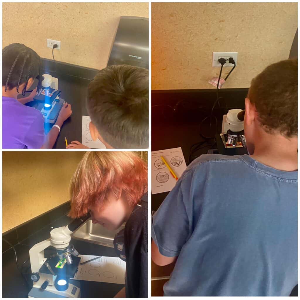 7th grade students learning how to use microscopes
