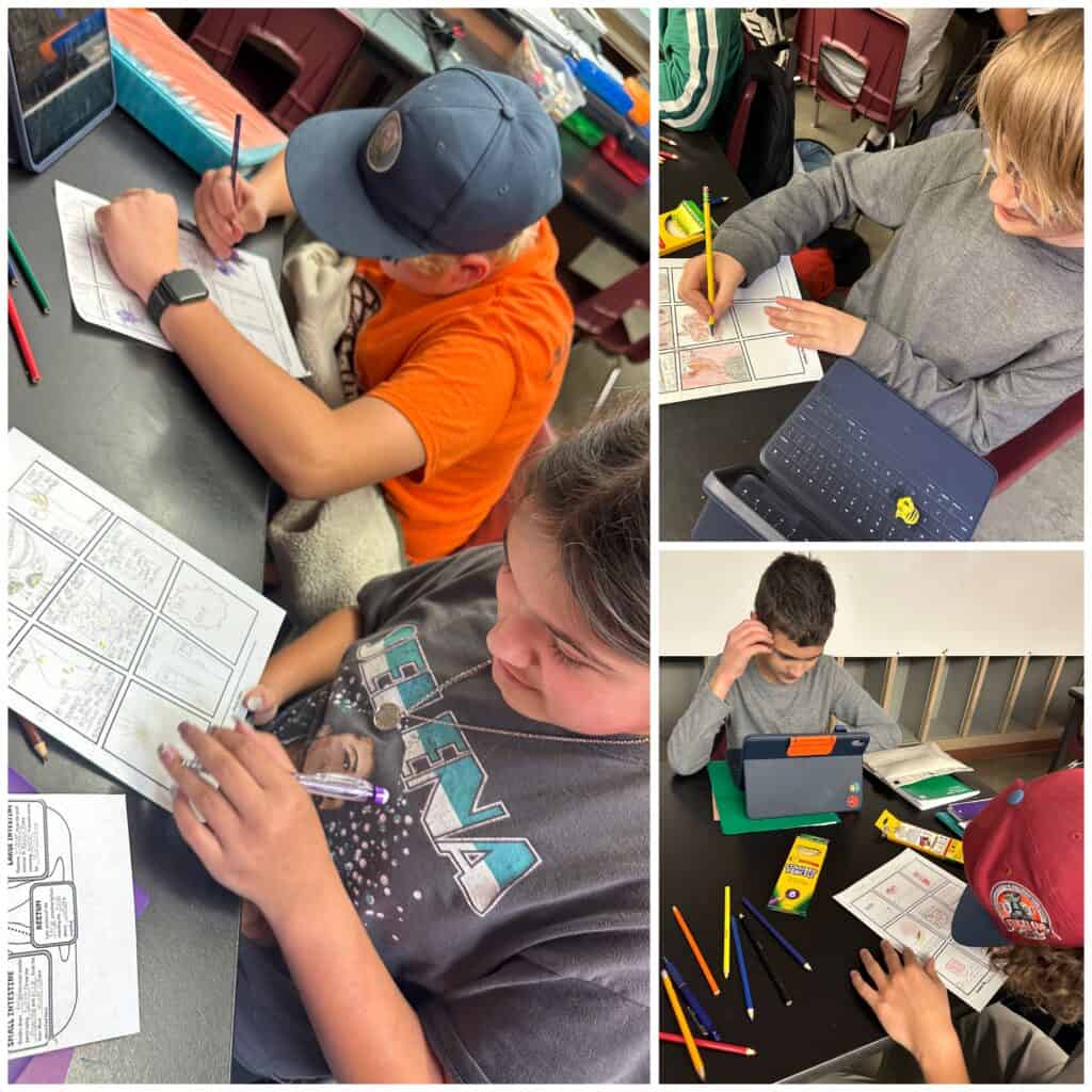 7th grade science students are working on comic strips to represent the respiratory and digestive systems.