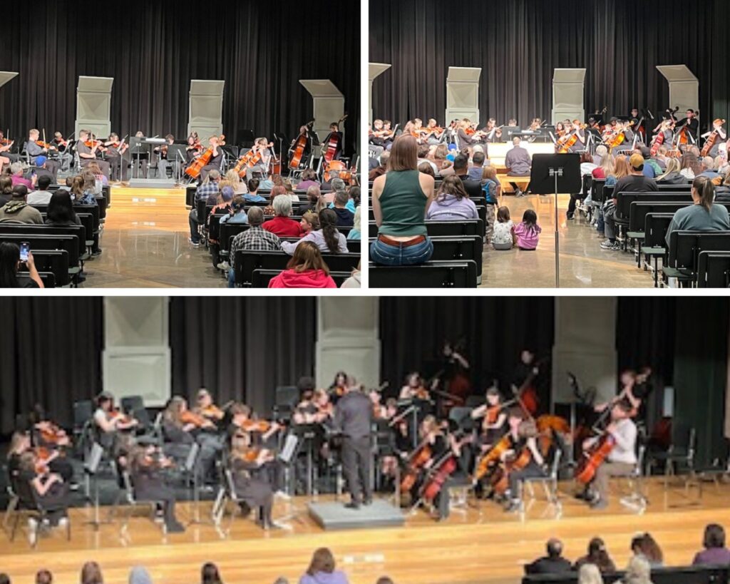 A concert featuring an orchestra performing on stage with an audience seated in front, enjoying the music.
