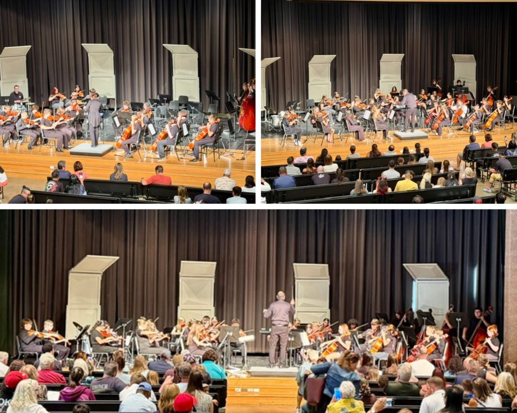 A concert featuring an orchestra with musicians playing string instruments, conducted in a theater setting.